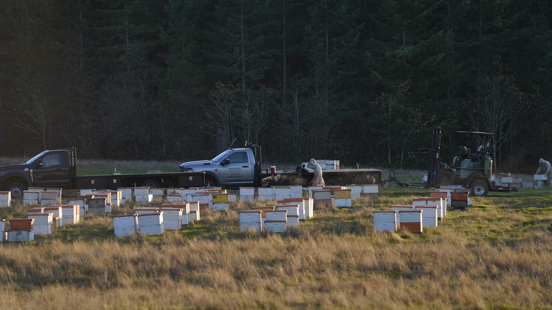 From Our hives to your flowers